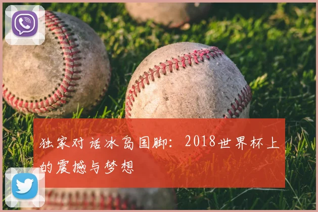 独家对话冰岛国脚：2018世界杯上的震撼与梦想