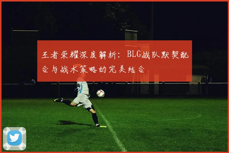 王者荣耀深度解析：BLG战队默契配合与战术策略的完美结合