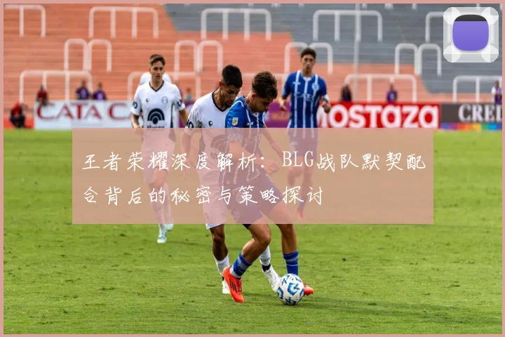 王者荣耀深度解析:BLG战队默契配合背后的秘密与策略探讨