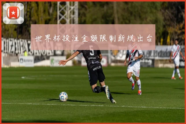 世界杯投注金额限制新规出台