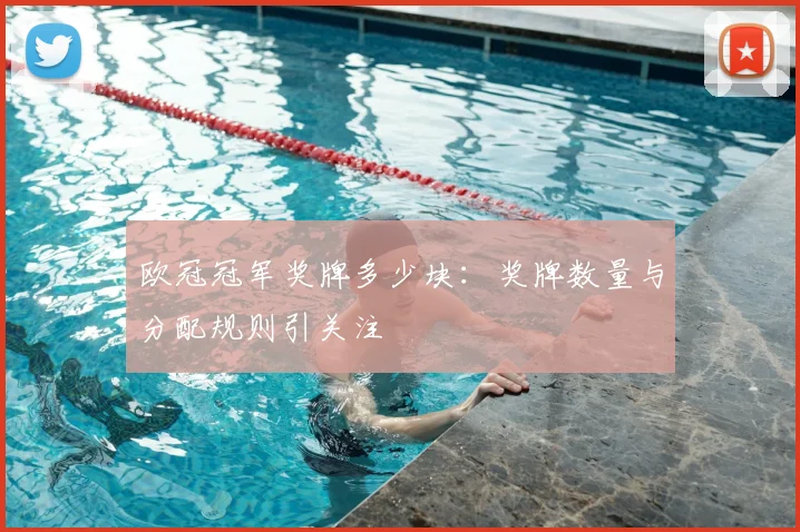 欧冠冠军奖牌多少块：奖牌数量与分配规则引关注