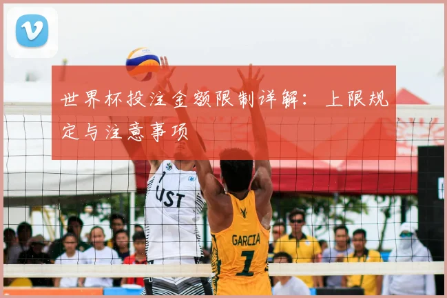 世界杯投注金额限制详解：上限规定与注意事项