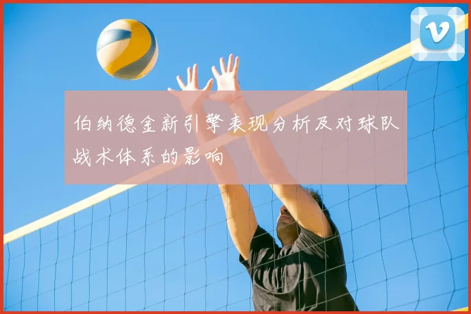 伯纳德金新引擎表现分析及对球队战术体系的影响