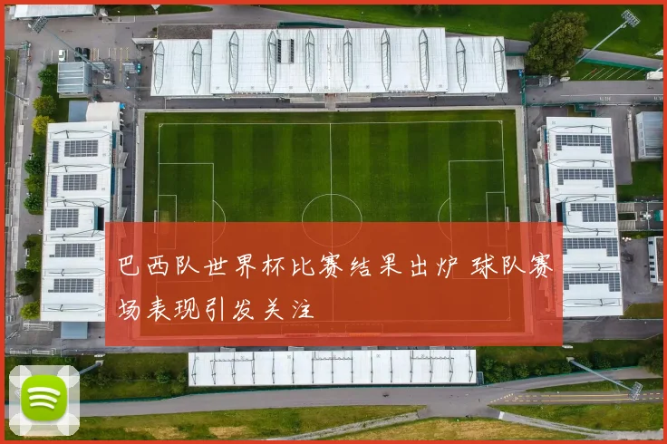 巴西队世界杯比赛结果出炉 球队赛场表现引发关注