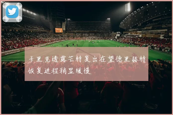 卡里克透露芒特复出在望德里赫特恢复进程稍显缓慢