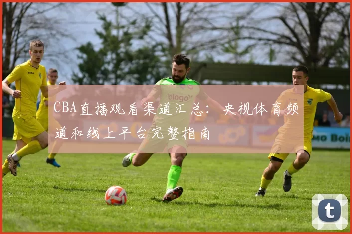 CBA直播观看渠道汇总：央视体育频道和线上平台完整指南