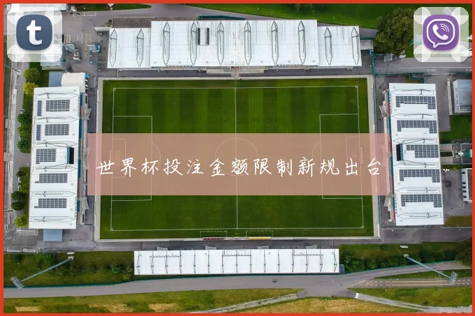 世界杯投注金额限制新规出台